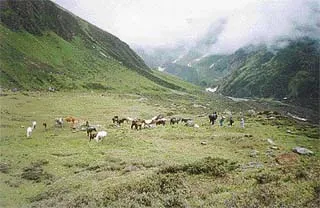 A view of Chowki, near Khatling Glacier