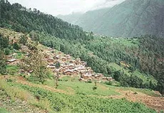 A view of a typical dahari hamlet in the Garhwal Himalayas
